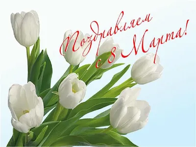 Милые дамы, компания MERTECH поздравляет Вас с 8 марта — Днём Весны и  Красоты