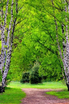 Картинки девушка весной со спины на аву (67 фото) » Картинки и статусы про  окружающий мир вокруг