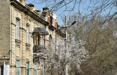 Весна в городе :: Людмила – Социальная сеть ФотоКто