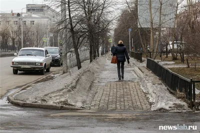 Весна в городе: цветущие растения, прогулки с домашними питомцами и уличные  обитатели (фоторепортаж) — УСІ Online