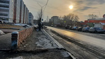 Весна в городе: на Пятой авеню в Нью-Йорке зацвели тысячи цветов