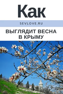 Цветущий Крым весной (61 фото) - 61 фото