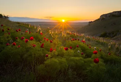 Как выглядит весна в Крыму