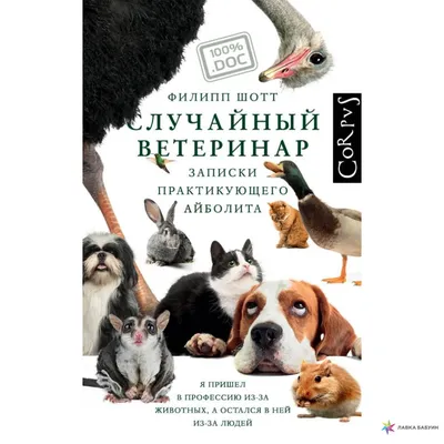 Ветеринар осматривает золотистого ретривера в клинике Ветеринар осматривает  золотистого ретривера в клинике Фото Фон И картинка для бесплатной загрузки  - Pngtree