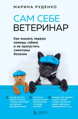 Как обманывают ветеринары: Семь способов, которыми пользуются специалисты в  клиниках