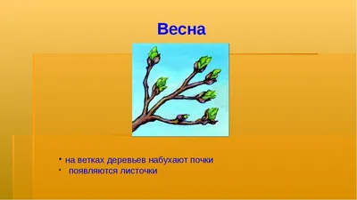 Мастер-класс по изготовлению поделки из пластилина «Дерево со скворечником»  для родителей и детей 4–5 лет (11 фото). Воспитателям детских садов,  школьным учителям и педагогам - Маам.ру