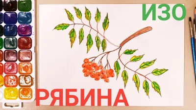 Аппликация из пластилина \" Снегирь на ветке рябины\". Пошаговая инструкция с  фото для детей. | Лепим с Таней | Дзен