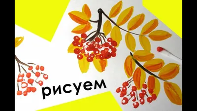 Книжка-раскраска для детей, ветка рябины | Премиум векторы