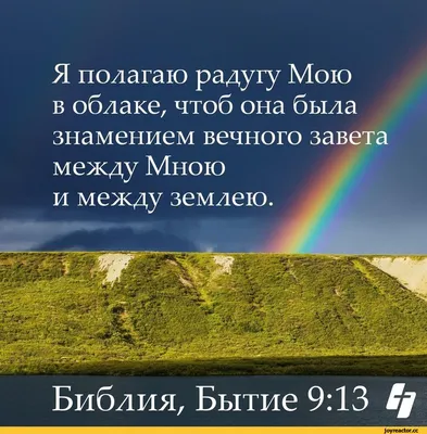 Беерс Г. Библия в картинках.Для детей дошкольного и начального школьного  возраста.1999г