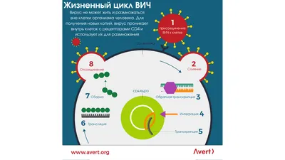 Спид Набор Значков Вич — стоковая векторная графика и другие изображения на  тему ВИЧ - ВИЧ, СПИД, Презерватив - iStock