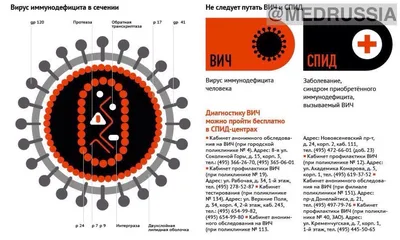 5 относительно обнадеживающих фактов о ВИЧ-инфекции - новости медицины