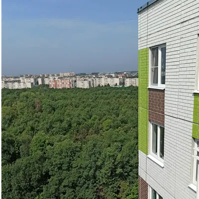 Вид из окна определяет выбор загородного дома!? | Никольский Парк | Дзен