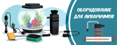 Как выбрать аквариум и сколько стоит его содержать: виды, оборудование,  стоимость