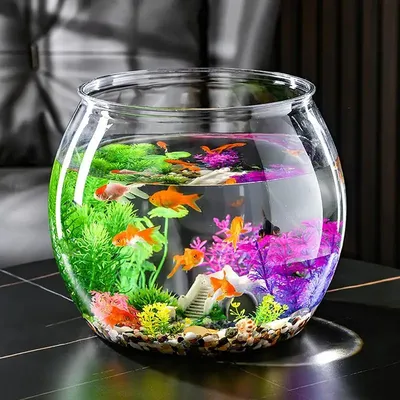 Мини-рыбки, прозрачный круглый аквариум для офиса, домашний декор, «сделай  сам», чаша для рыб, Настольная Ваза, центральный элемент, контейнер для  рыбы, украшение | AliExpress