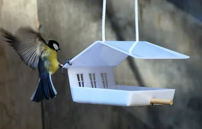 Виды кормушек для птиц своими руками фото - YouTube