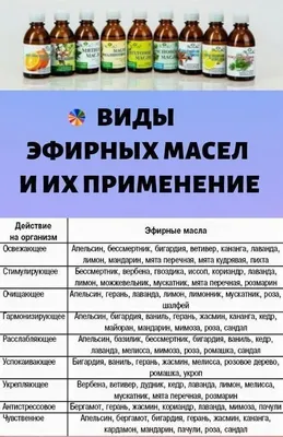 Знакомство детей с лекарственным растением — мятой (20 фото). Воспитателям  детских садов, школьным учителям и педагогам - Маам.ру