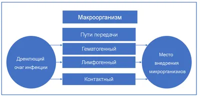 Шина Sam Splint - это самая популярная экстренная шина в мире