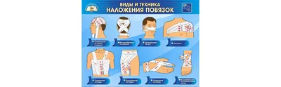 Венозное кровотечение: признаки, способы остановки и первая помощь