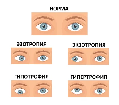 Основные принципы предоставления ухода