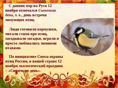 Горожанам рассказали, чем подкармливать синиц зимой в Москве – Москва 24,  29.11.2020