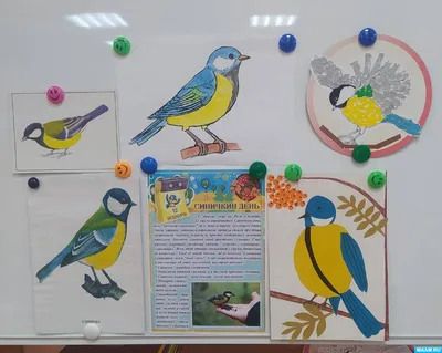 две птицы сидят на ветке с цветами осени, картинка синица, птица, синица  фон картинки и Фото для бесплатной загрузки
