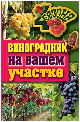 Орловец Юрий Голопятов выращивает на своём приусадебном участке свыше 50  сортов винограда