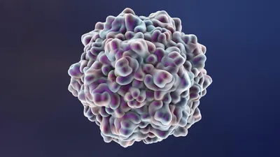 В Японии зафиксировали инфекционное заболевание, вызванное новым вирусом -  РИА Новости, 04.10.2021