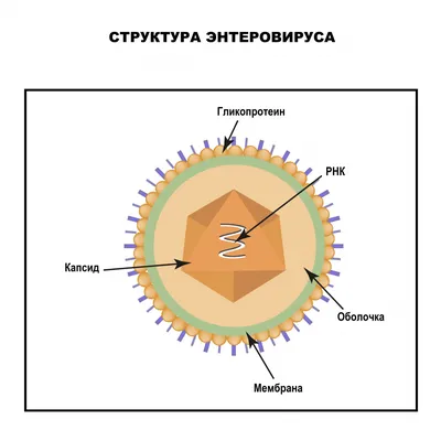 Блиц-интервью: КОКСАКИ был и будет