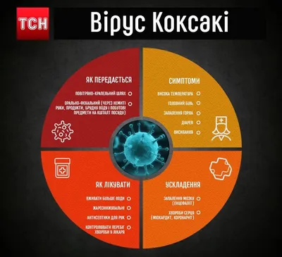 Вирус, который переносится грязными руками