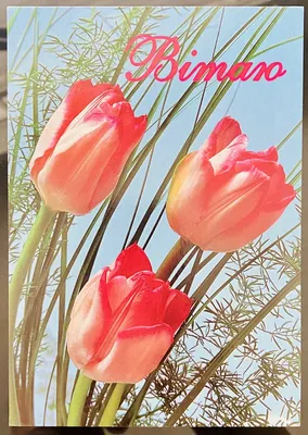 UKRAINIAN GREETING CARD FLOWERS. UNPOSTED. Вітаю | eBay