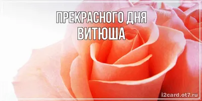 Витюша, с Днём Рождения: гифки, открытки, поздравления - Аудио, от Путина,  голосовые