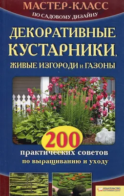 Картинка вьющихся растений и льянов: создание природной арки на свадьбе