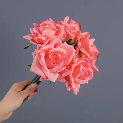 Вьющиеся розы украсят ваш участок и дом Украсить свой участок вьющимися  розами, превратив его в маленький.. | ВКонтакте