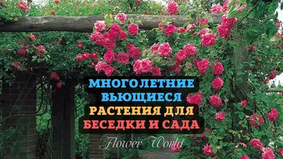 Деревянные шпалерные решетки для цветов и растений на даче, арт. 0317