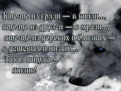 Российская оппозиция только собирает протестную ренту, которую создает  власть — Константин Калачев – ИА Реалист: новости и аналитика