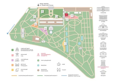 Ботанический сад Минска. Цены 2024, карта, адрес, время работы, как  добраться, фото, видео – Туристер.Ру