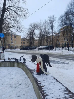 Ботанический сад в Санкт-Петербурге - triptospb