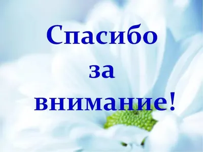 Спасибо за внимание | Плачущий мем, Самые смешные цитаты, Христианский юмор