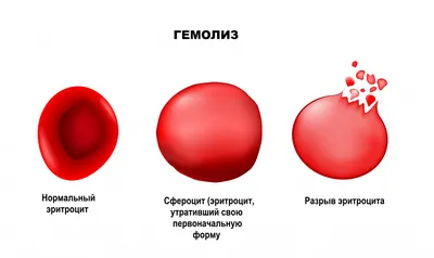 развитие плода / смешные картинки и другие приколы: комиксы, гиф анимация,  видео, лучший интеллектуальный юмор.