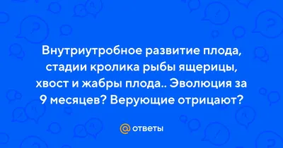 Внутриутробная гипоксия плода. В чем опасность