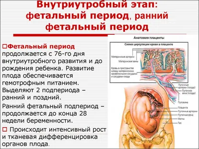 NutriMa Фемилак 5 в 1 для беременных и кормящих женщин, со вкусом манго  купить в Ставрополе