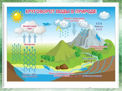 Круговорот воды в природе: эксперимент для детей с фото и схемой - Телеграф