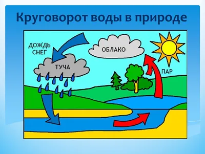 Поделка \"Круговорот воды в природе\" | Просто поделки | Дзен