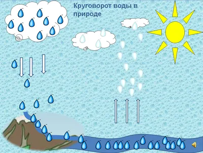 Вопросы и ответы о живой и неживой природе - купить с доставкой по Москве и  РФ по низкой цене | Официальный сайт издательства Робинс