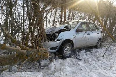 Симпатичный Водитель Зайчик Оранжевой Автомобильной Акварели Открытки  Мультфильм Кролике Автомобильном Стоковая иллюстрация ©tan4ikk #626649386