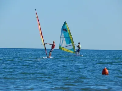 Водные виды спорта для лета | Фитнес блог Елены Арестовой | Дзен