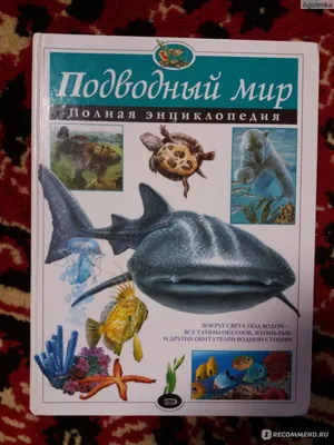 Подводный мир. Энциклопедия для детского сада - купить подготовки к школе в  интернет-магазинах, цены на Мегамаркет | 978-5-353-08479-2