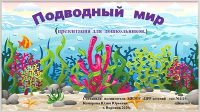 Подводный мир (презентация для дошкольников)