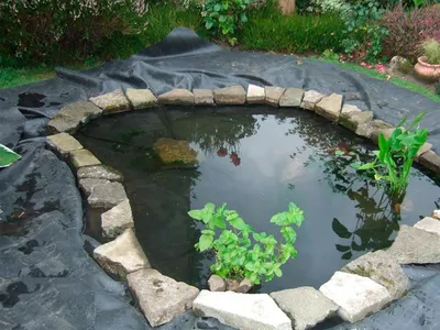 Декоративный пруд для дачи – заказать декорацию искусственного пруда в саду  - ВОДОЕМЧИК