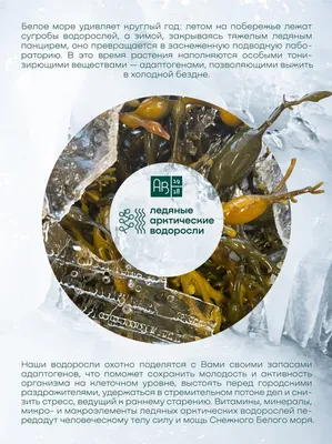 Морские водоросли «Wakame» соленые в соусе, 1 кг купить в Минске: недорого  в интернет-магазине Едоставка